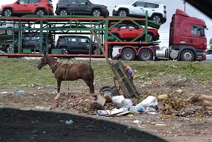O valor da multa para os infratores poderá chegar a R$ 160 Foto: Jorge Magalhães