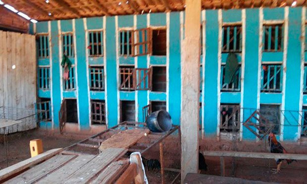 De acordo com o proprietário da casa, as gaiolas onde as aves ficavam presas foram construídas há quase dois anos. Foto: L12 Notícias