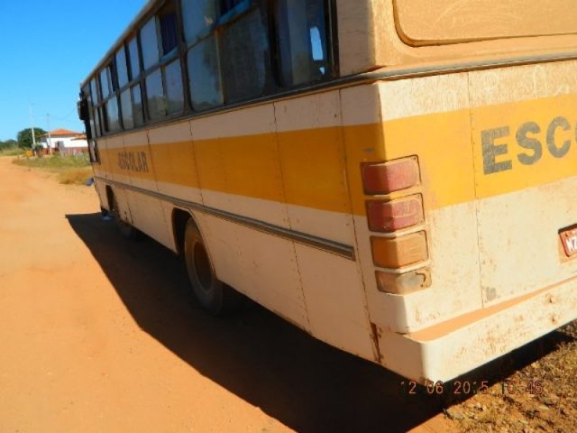 (Foto: Reprodução / Sertão Baiano)