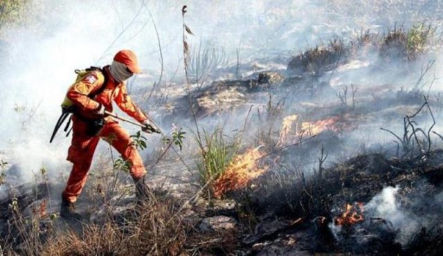 Incêndio na região de Mucugê foi controlado. Foto: Mateus Pereira/GOVBA.