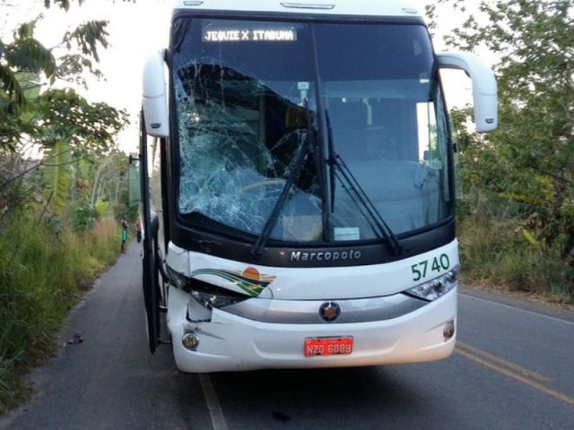 Passageiros seguiram viagem em outro ônibus. Foto: giroemipiau1.com.br.