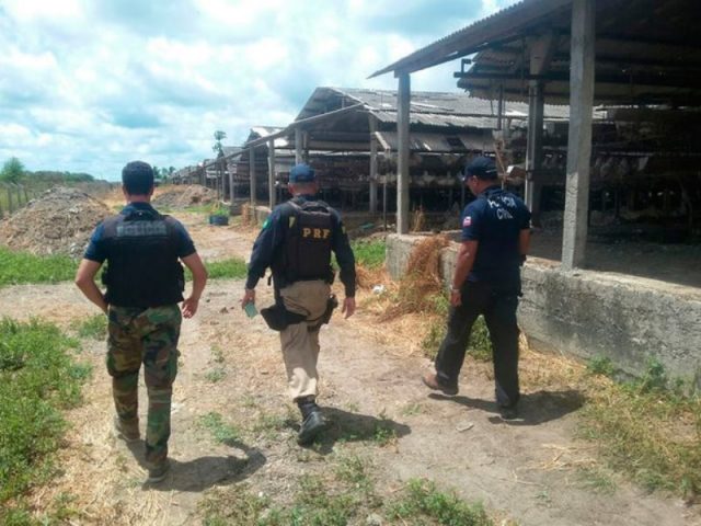Todos os trabalhadores resgatados foram trazidos para a Polícia Federal de Salvador. (Foto: Divulgação/PRF)