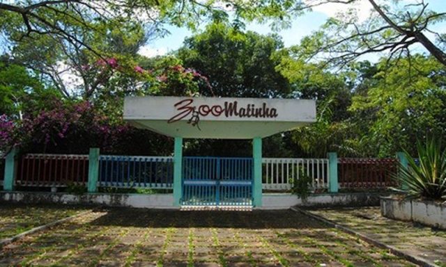 O Parque Municipal da Matinha, com cerca de 350 animais da fauna brasileira e alguns da fauna africana fizeram por muito tempo a alegria dos seus visitantes (Foto: Reprodução / Sudoeste Hoje)