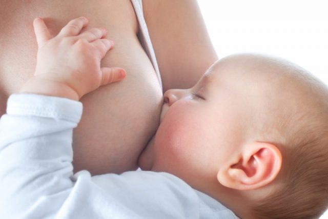 Foto: Reprodução/ http://hemocord.com.br/