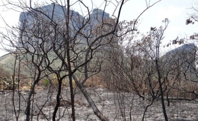 Inquérito Policial investigará se os incêndios ocorridos no Parque Nacional da Chapada Diamantina foram resultado da atuação humana (Foto: Reprodução)