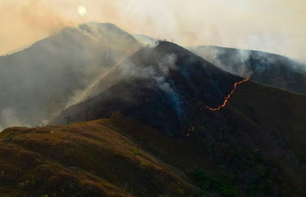 Governo diz que incêndio na Chapada Diamantina está controlado. Foto: Divulgação/ICMBio