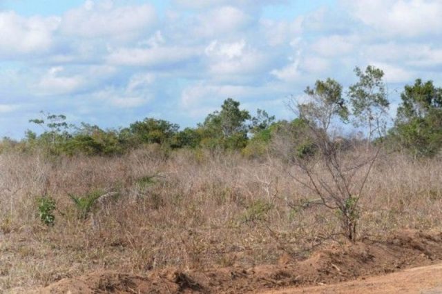 Estado de emergência foi referendado pelo Conselho Municipal de Proteção e Defesa Civil. Foto: Secom PMFS