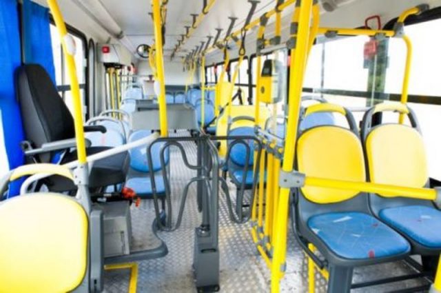 Uma das principais pautas da paralisação é a dupla função dos motoristas (Foto: Reprodução / FlechaBranca)