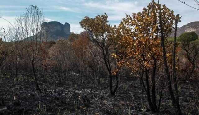 Incêndios florestais que podem representar perigo para as pessoas. Foto: Alex Sander Pinto/Cidadão Repórter/A Tarde.