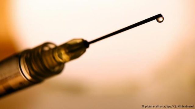 Estudo em Harvard testou dois tipos de vacina em camundongos (Foto: Reprodução/Deutsche Welle)
