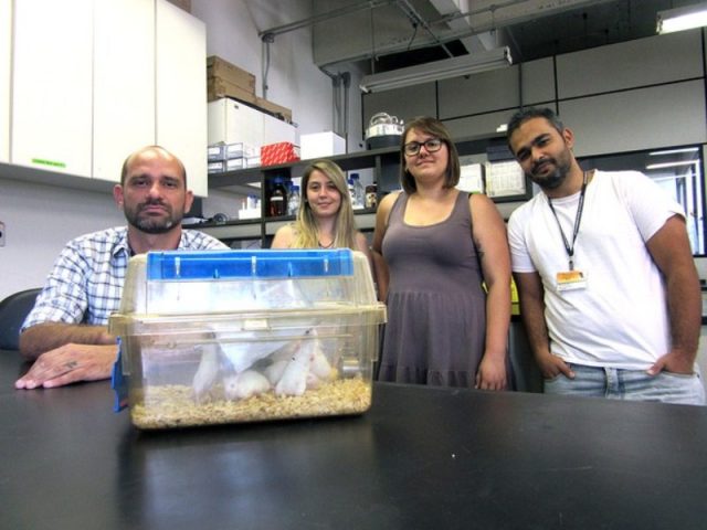 Jean Pierre Peron (esq.) com sua equipe e camundongos de experimento com o zika. Foto: Rafael Garcia/G1.