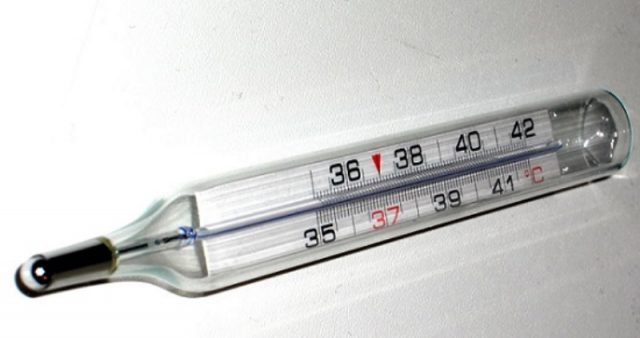 Anvisa propõe proibir termômetro com mercúrio no país. (Foto: Reprodução)