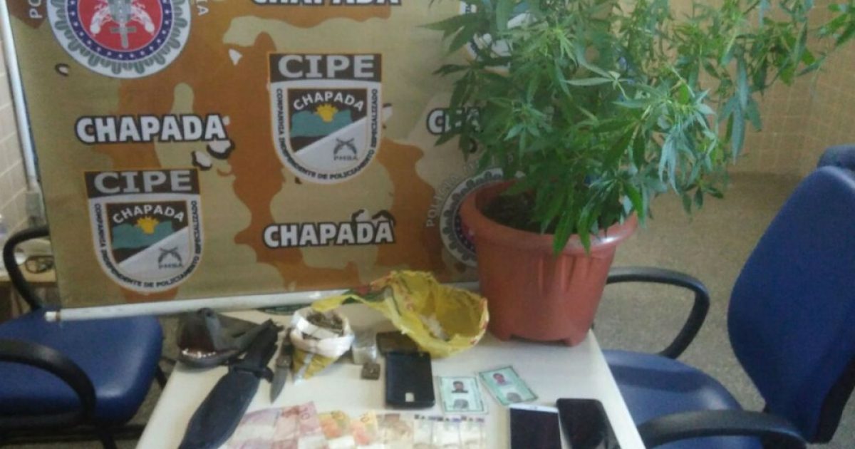 Segundo a SSP/Ba a polícia apreendeu maconha prensada e embalada, um pé de maconha, celulares, dinheiro e uma faca, no local.  (Foto: Reprodução/SSP-BA)