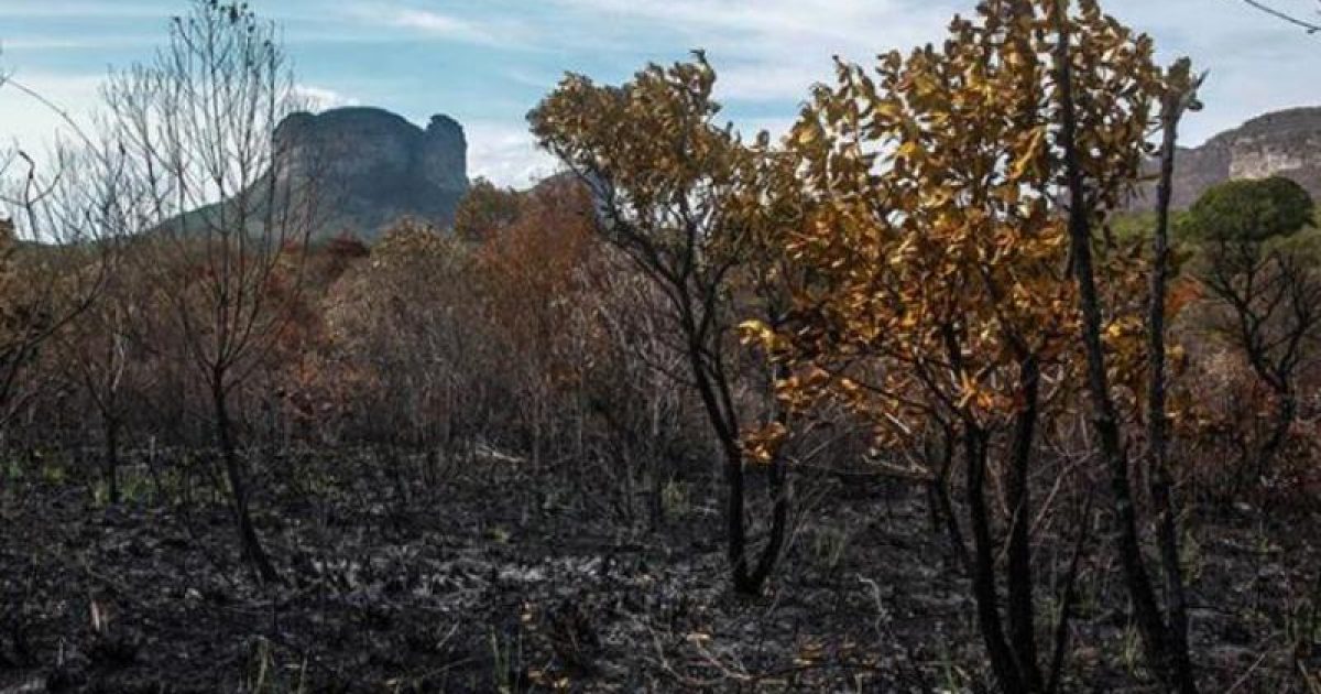 Incêndios florestais que podem representar perigo para as pessoas. Foto: Alex Sander Pinto/Cidadão Repórter/A Tarde.