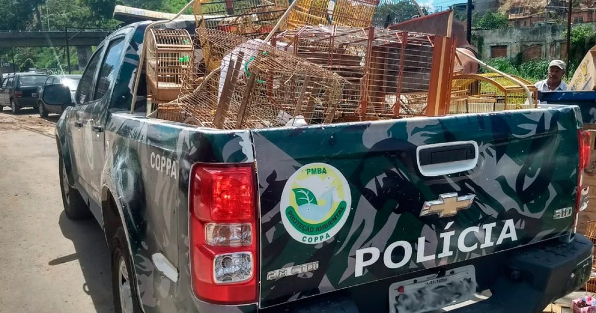 Operação foi realizada pelo por policiais da Companhia Independente de Polícia de Proteção Ambiental (Coppa). Foto: Divulgação/Polícia Militar.