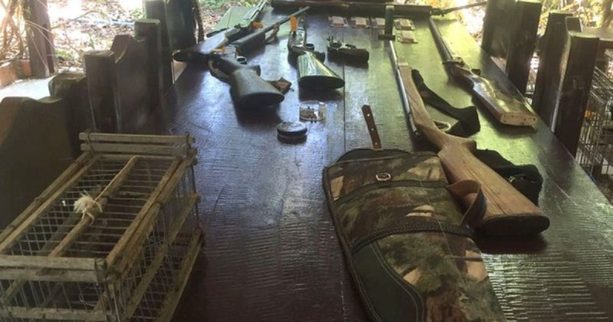 Polícia encontrou animais e armas na residência de falso policial. Foto: Divulgação.