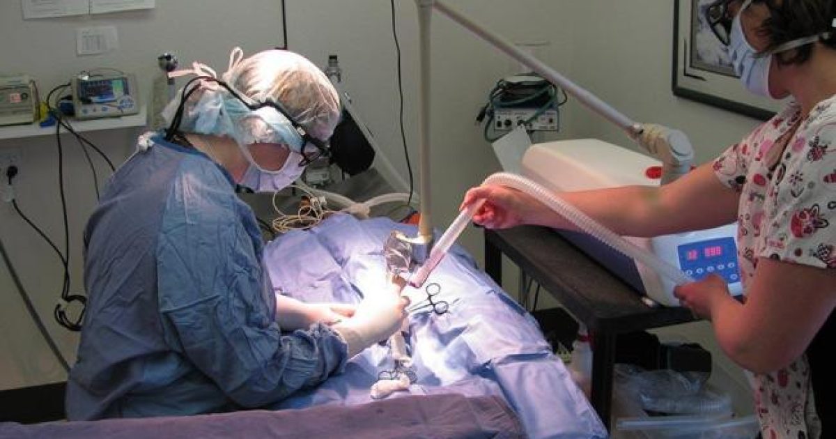 Intervenção é realizada sob anestesia geral. Foto: Divulgação.
