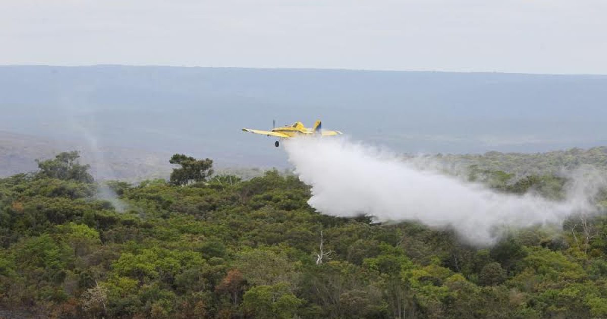 Avião usado no combate a incêndio na Chapada Diamantina. Fotos: Manu Dias.