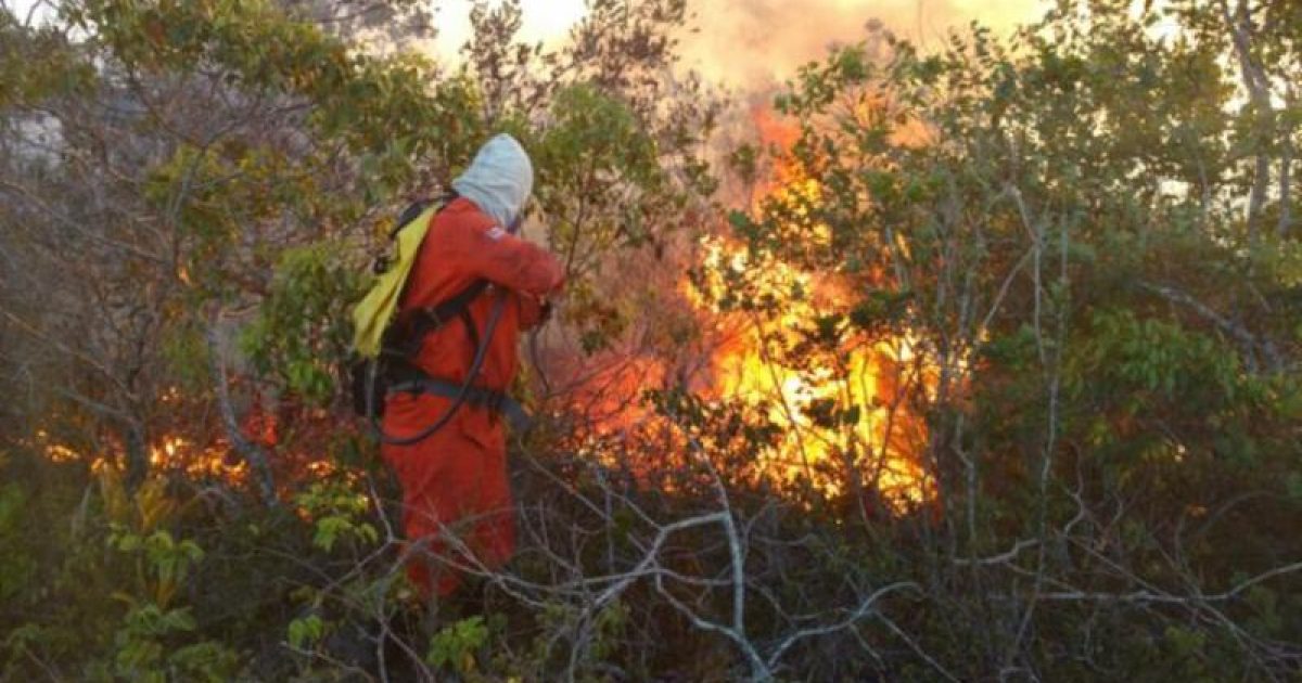 Fofo já atinge o povoado de Socotó, em Campo Formoso. Foto: Divulgação/Corpo de Bombeiros.