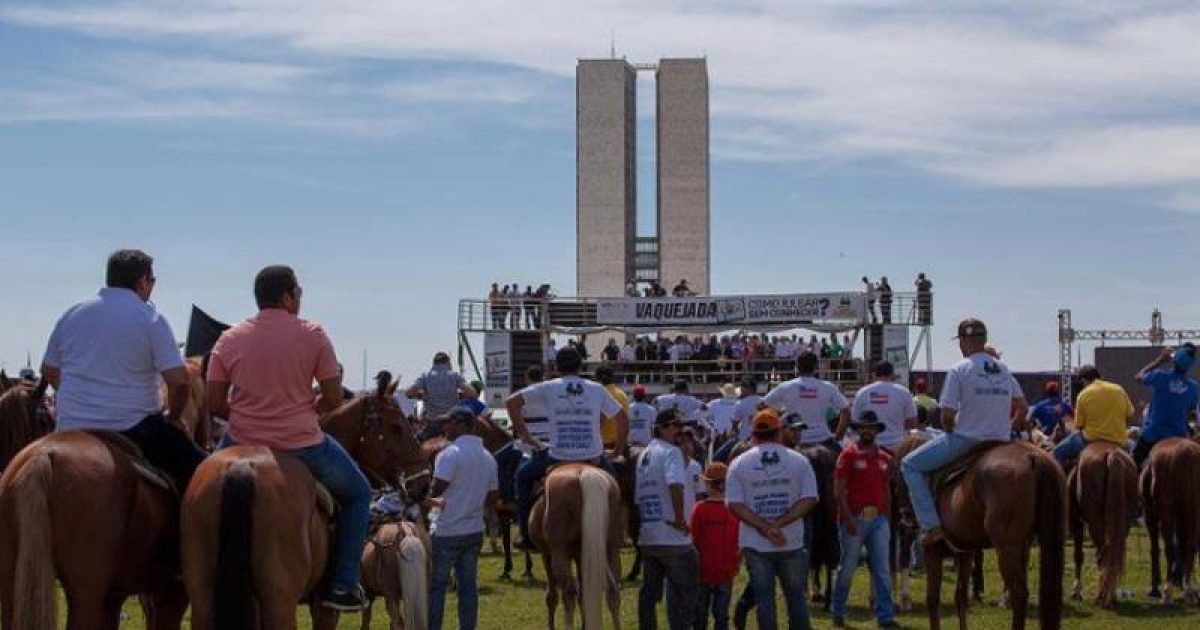 Vaqueiros protestaram em Brasília contra proibição da atividade pelo STF (Foto: Reprodução / A Tarde)