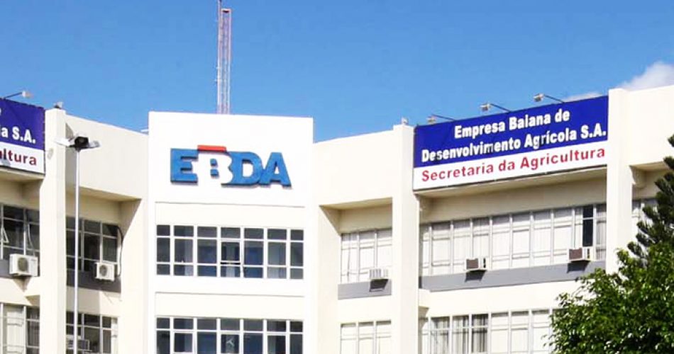 Foto: Portal de Notícias.net