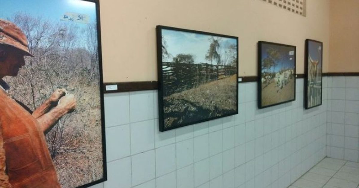 Serrinha recebe mostra "Imagens dos Vaqueiros da Bahia". Foto: Divulgação