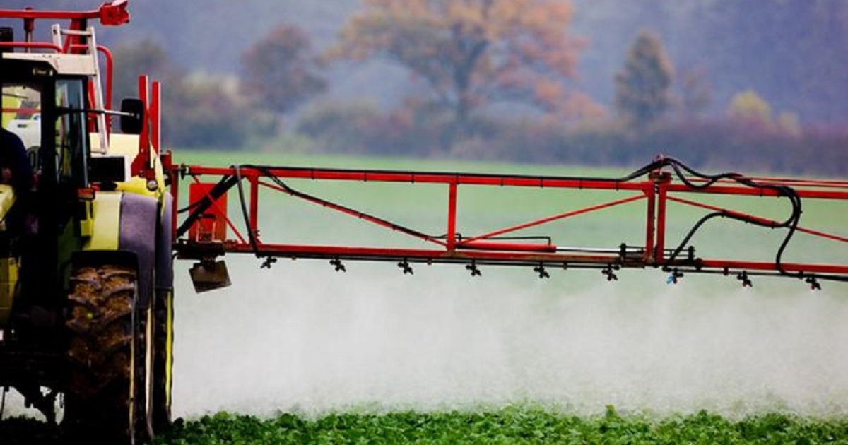 Produção agrícola aumentou mediante o uso intensivo de adubos químicos e pesticidas (Foto: Reprodução/Deutsche Welle)