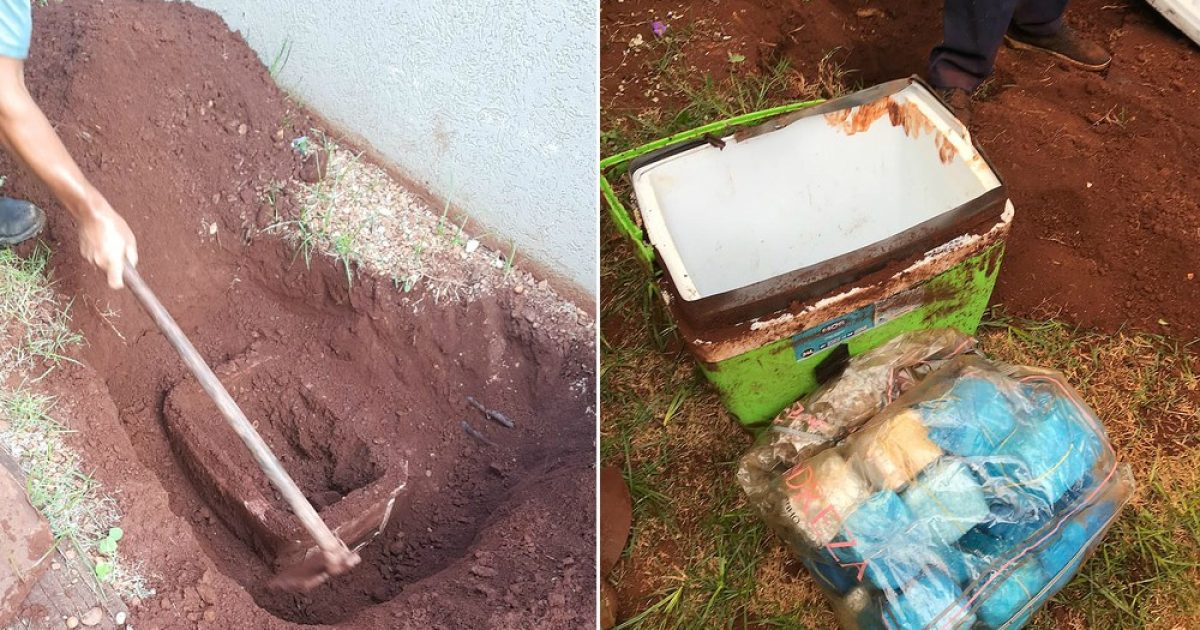 Cerca de R$ 107 mil estavam enterrados no quintal da casa em Igarapava, SP (Foto: Polícia Militar/Divulgação)