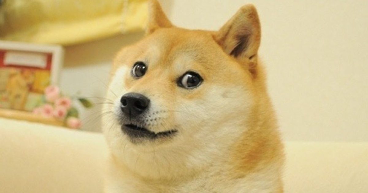 Doge é vendido por R$ 20 milhões em leilão e se torna o meme mais caro do mundo (Foto: Reprodução/Know Your Meme)