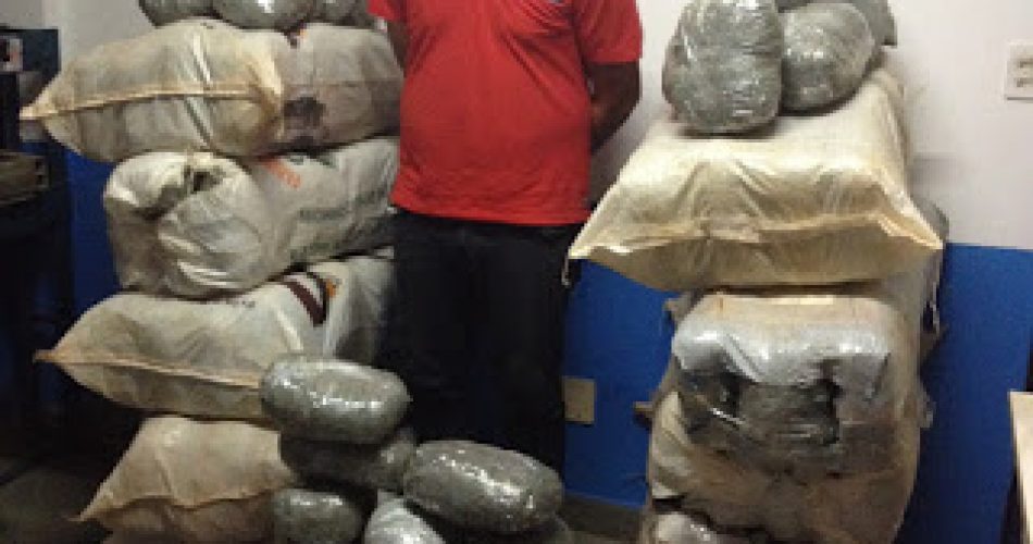 Fotos: Divulgação/Polícia Civil