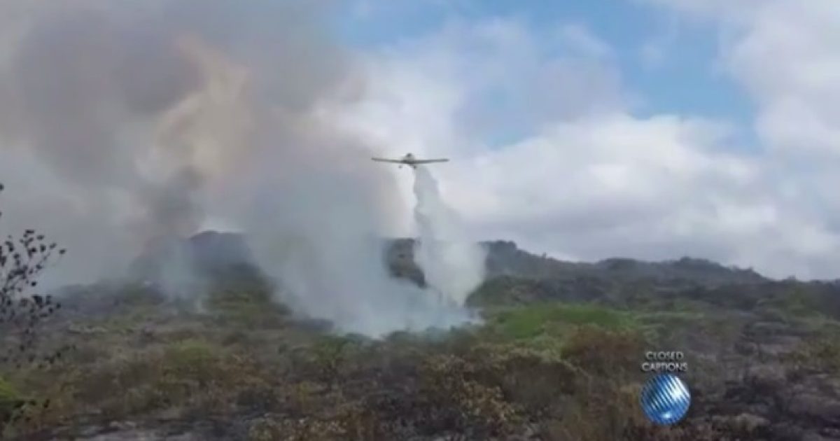 Fogo atinge mais de 2 mil hectares. Foto: Reprodução/TV Bahia