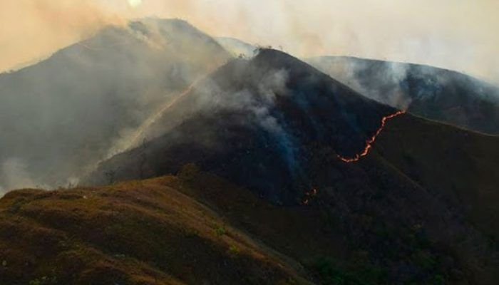 Governo diz que incêndio na Chapada Diamantina está controlado. Foto: Divulgação/ICMBio