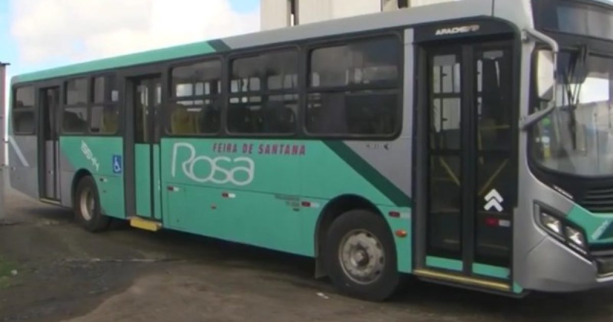 Ônibus da empresa Rosa(Foto: Reprodução/TV Subaé)