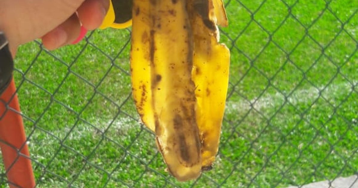 Casca de banana foi jogada contra aluno negro da UCP (Foto: Reprodução/ Redes Sociais)