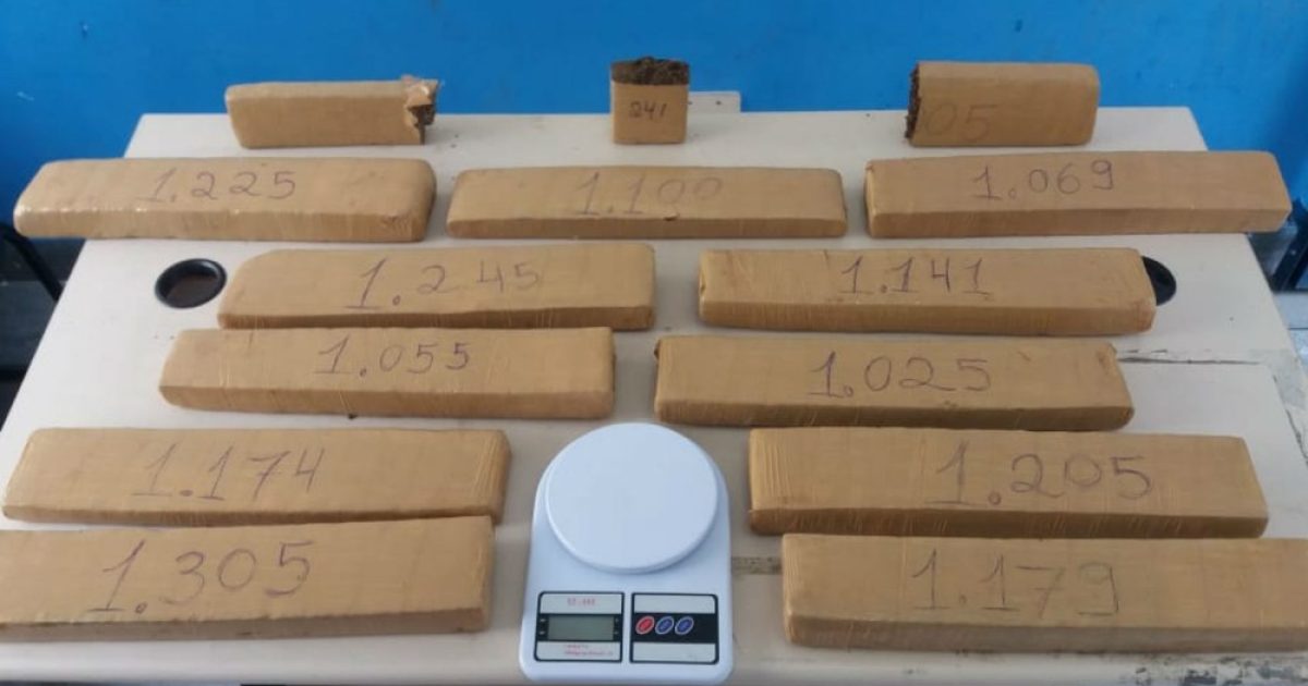 Os investigadores encontraram 14 tabletes da mesma erva.  (Foto: Divulgação/Polícia Civil)